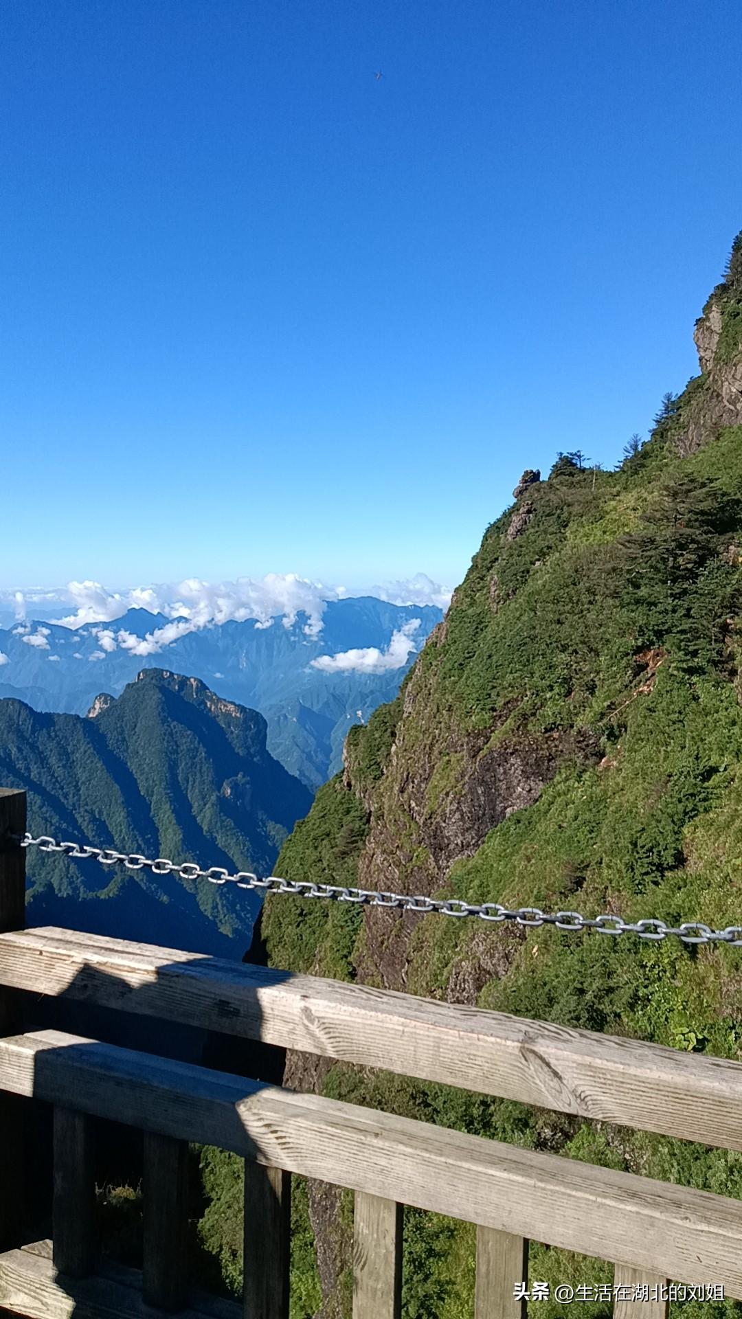 俩个小同事，女生，都生的儿子，一个九岁一个十岁。每逢佳节及休息日值班必带孩子上班