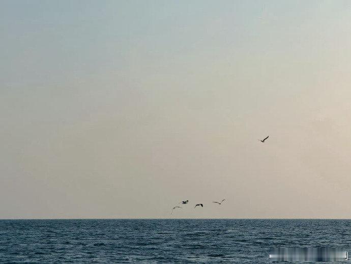 胡一天出海追海豚还是有点晕胡一天晕船了本是浪漫追海豚之旅，结果晕船 buff 叠