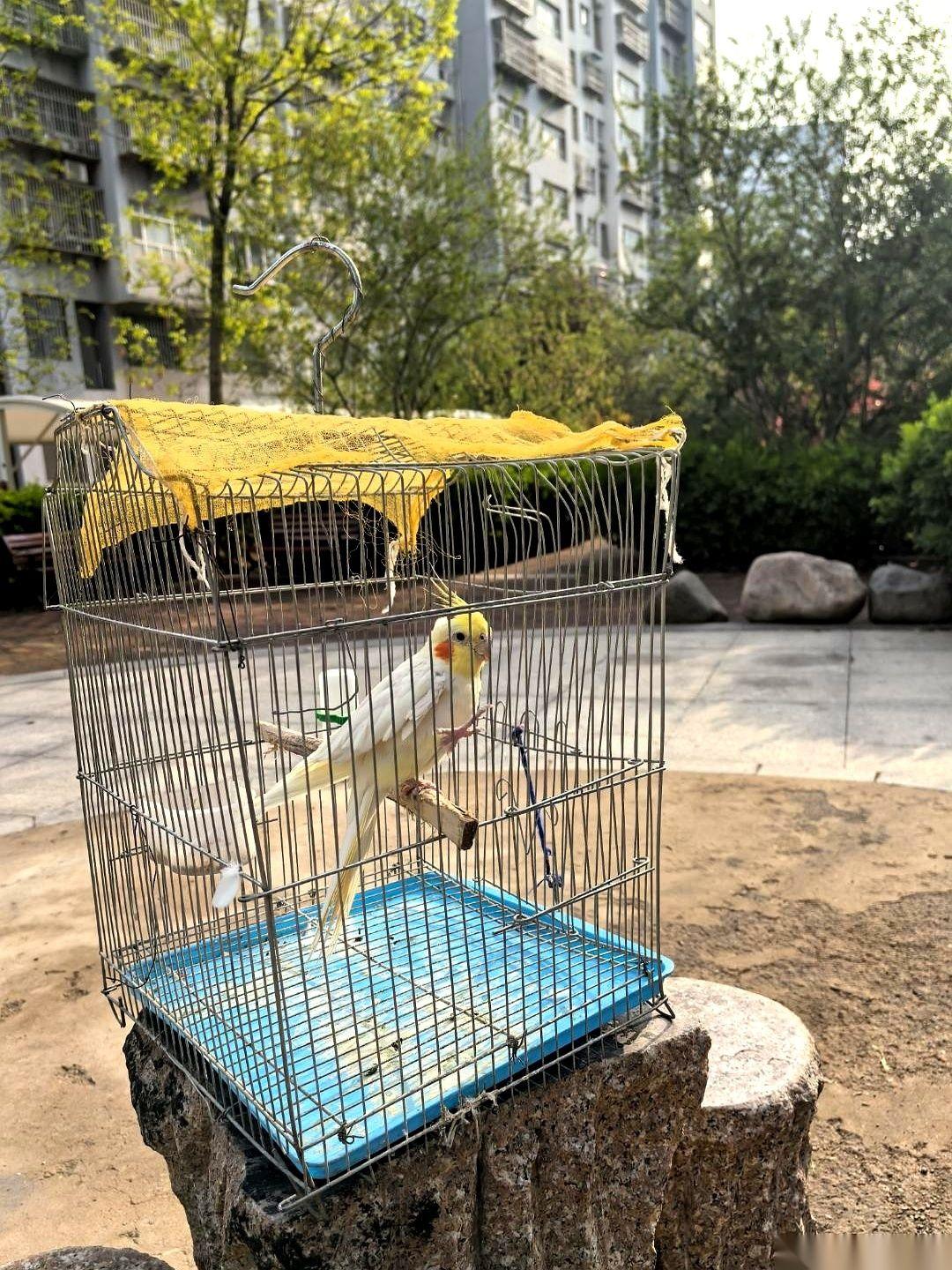 案发现场在厨房门外。我妈手里的半头蒜刚“啪”地一声拍碎在案板上，正准备对我开启全