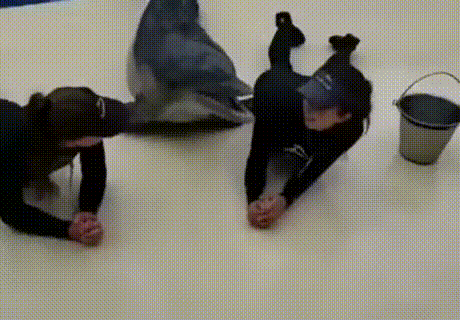 左右逢源