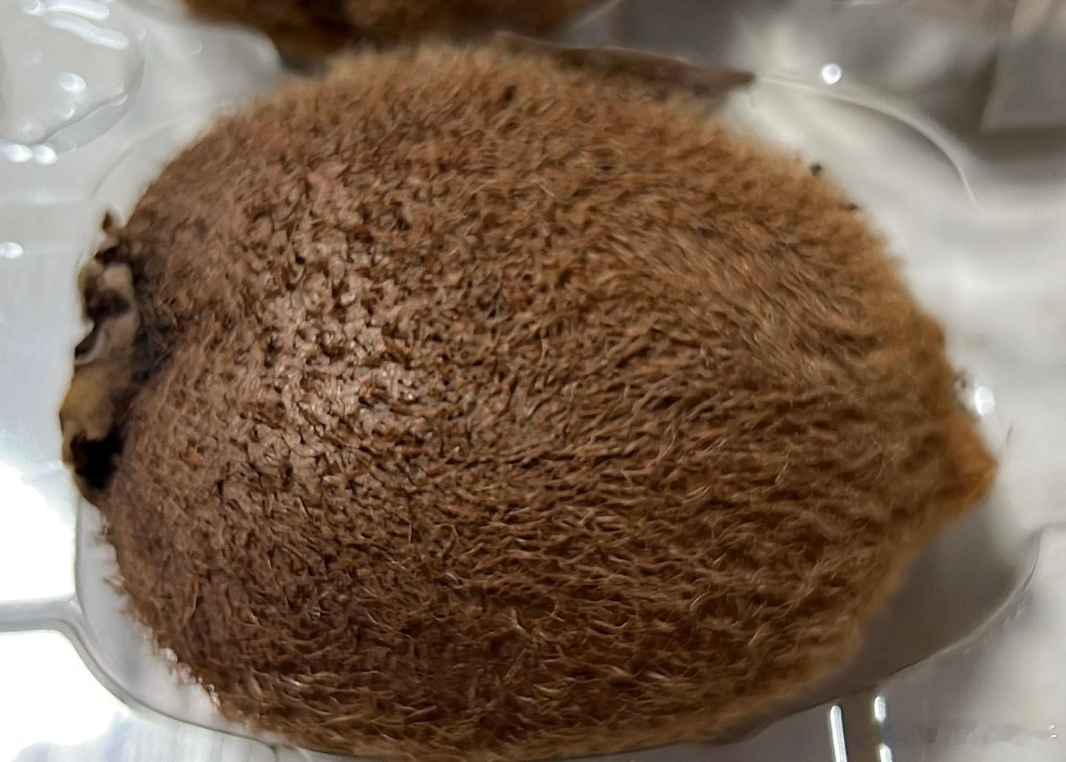 原来猕猴桃🥝的猕猴是字面意思这桃儿，还掉毛儿！生活手记猕猴桃