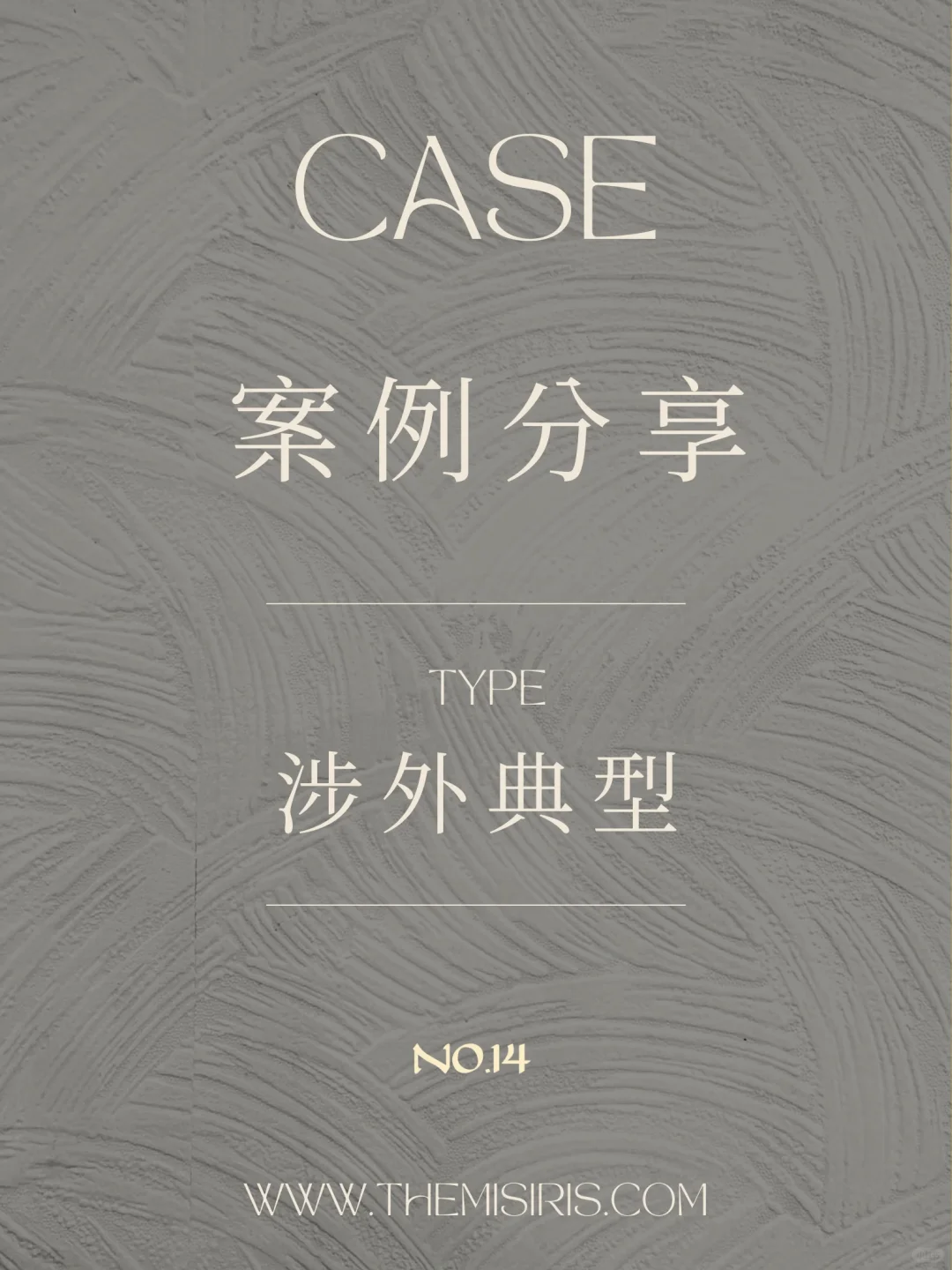 典型涉外案例分享