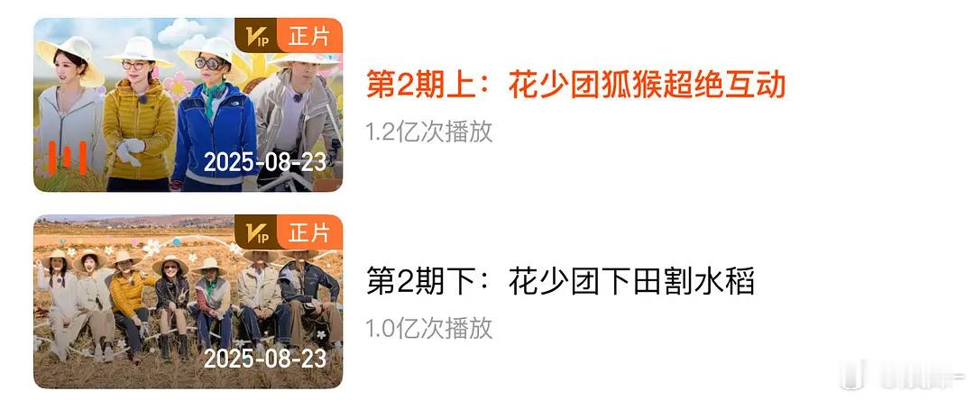 我真的被花少7狠狠治愈了，现在整个大环境不好，回家放松放松看看温馨治愈向的综艺才