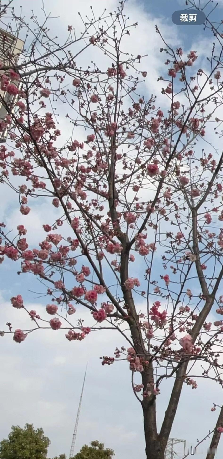 钟声响起，旧年翻篇，愿新年，温柔有光，事事顺遂，烟火向星辰，所愿皆成真，祝你，祝