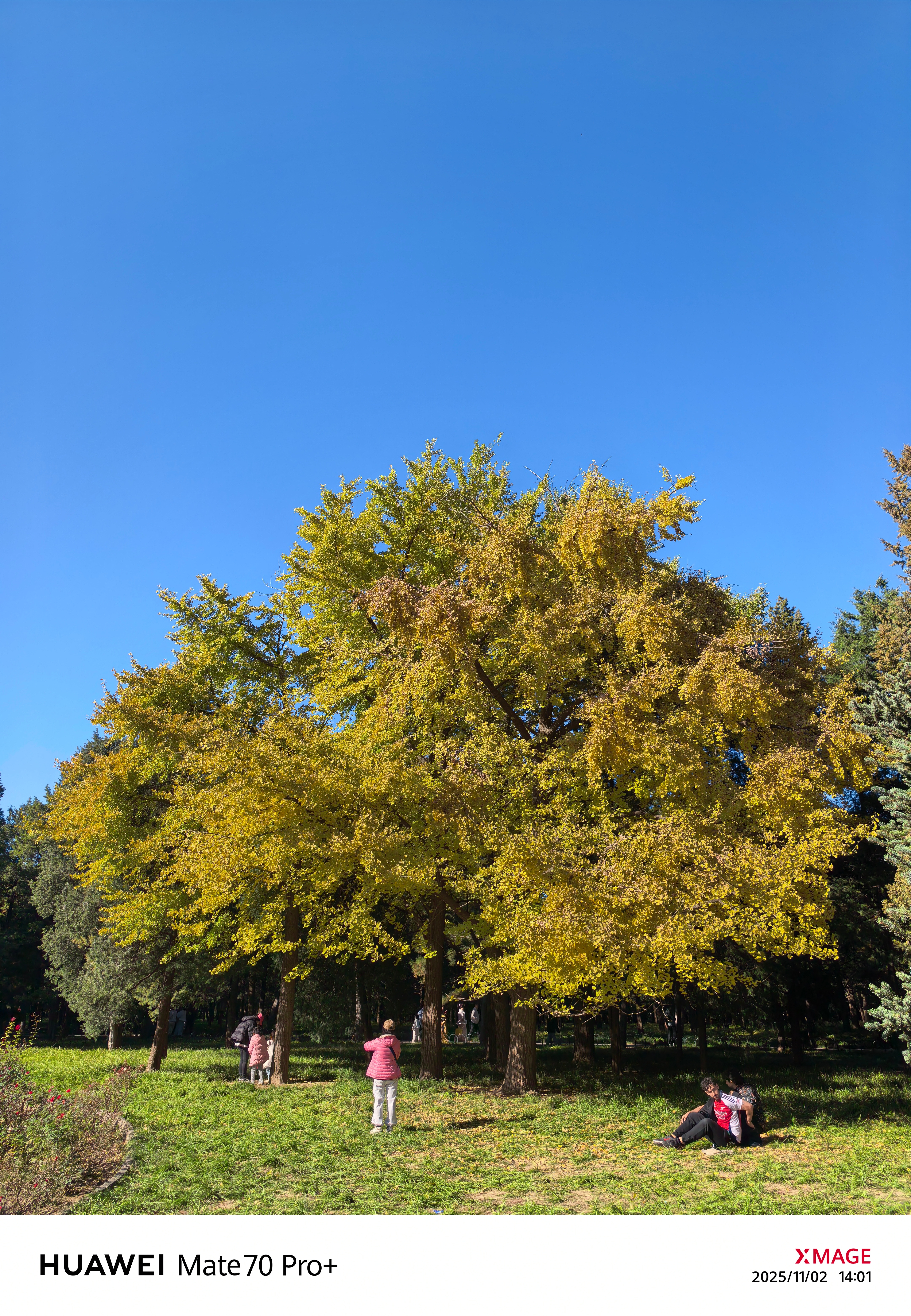 北京的秋天，咱也是拍到了[点赞]  ​​​