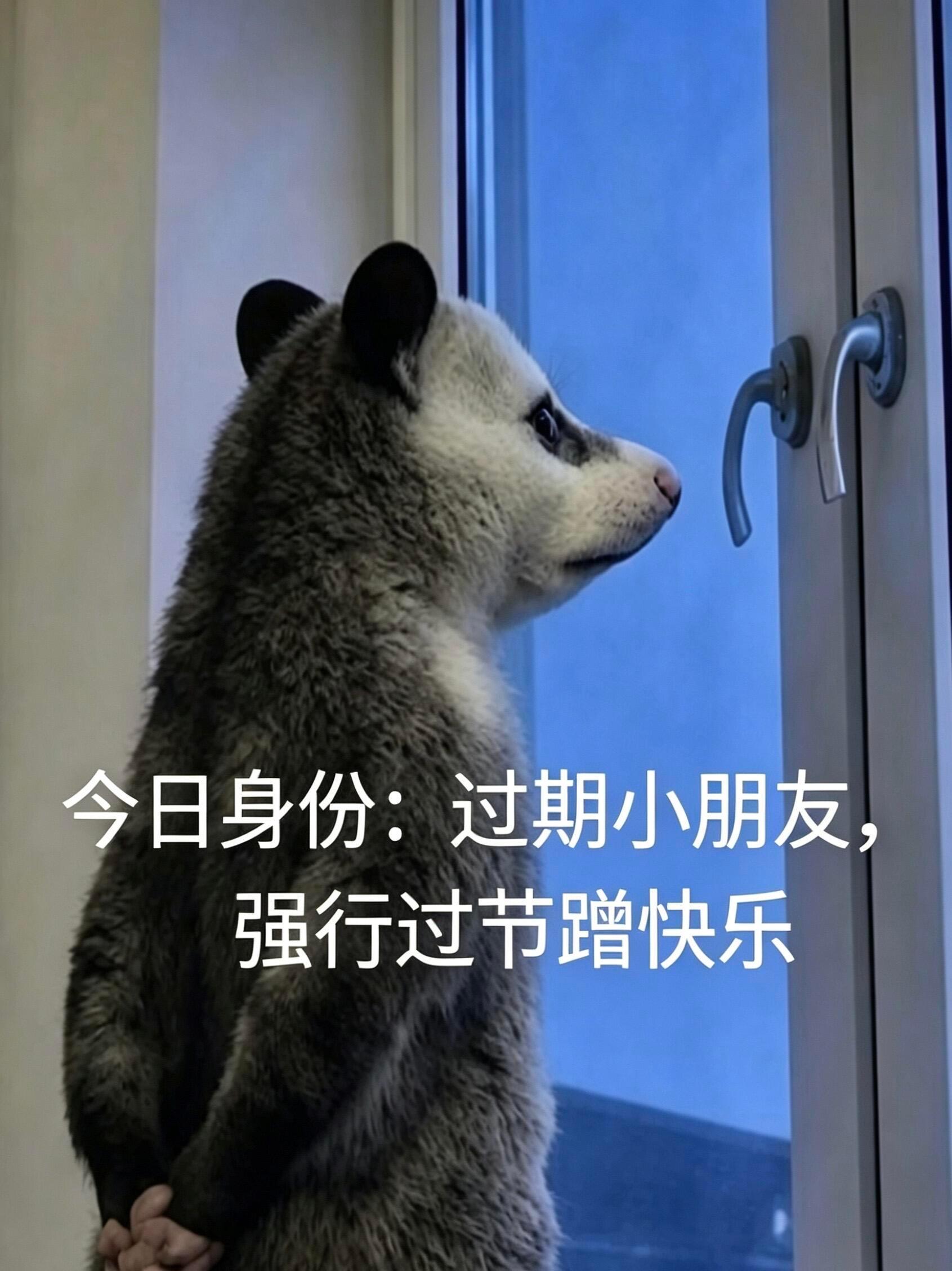 负鼠表情包，六一儿童节版！ 