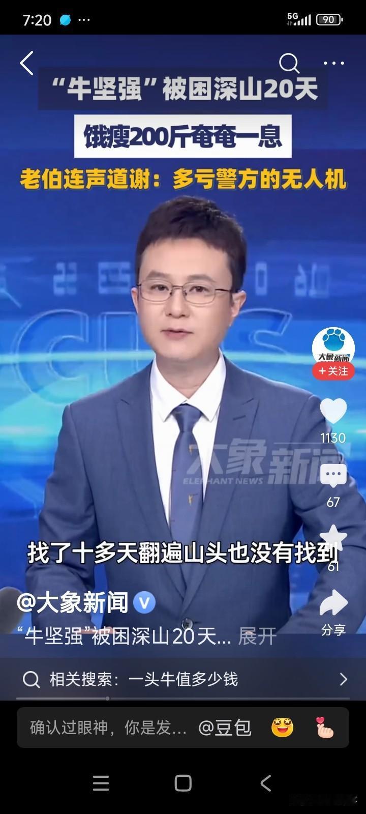 浙江杭州，一名男子养了三年的牛，不慎在山里走失。男子组织亲朋好友在山里寻找了10