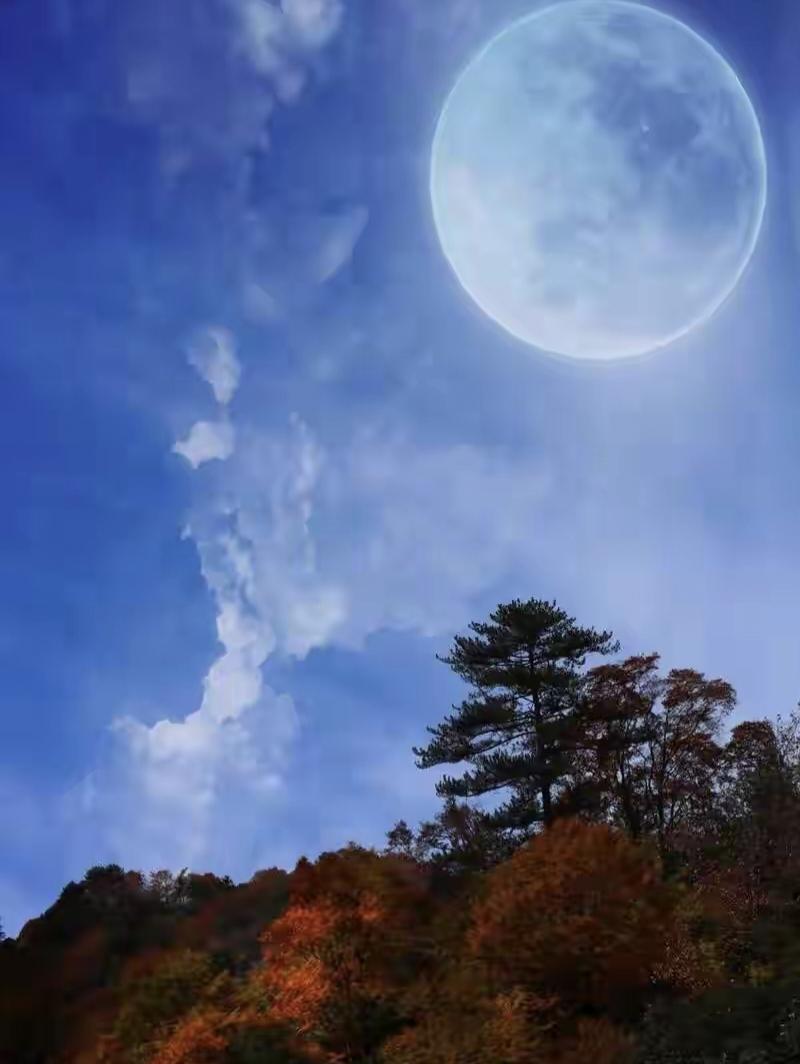 《水调歌头·秋夜望月》
金风初度玉关，桂影满庭阶。  清辉泻地如霜，寒露湿苍苔。