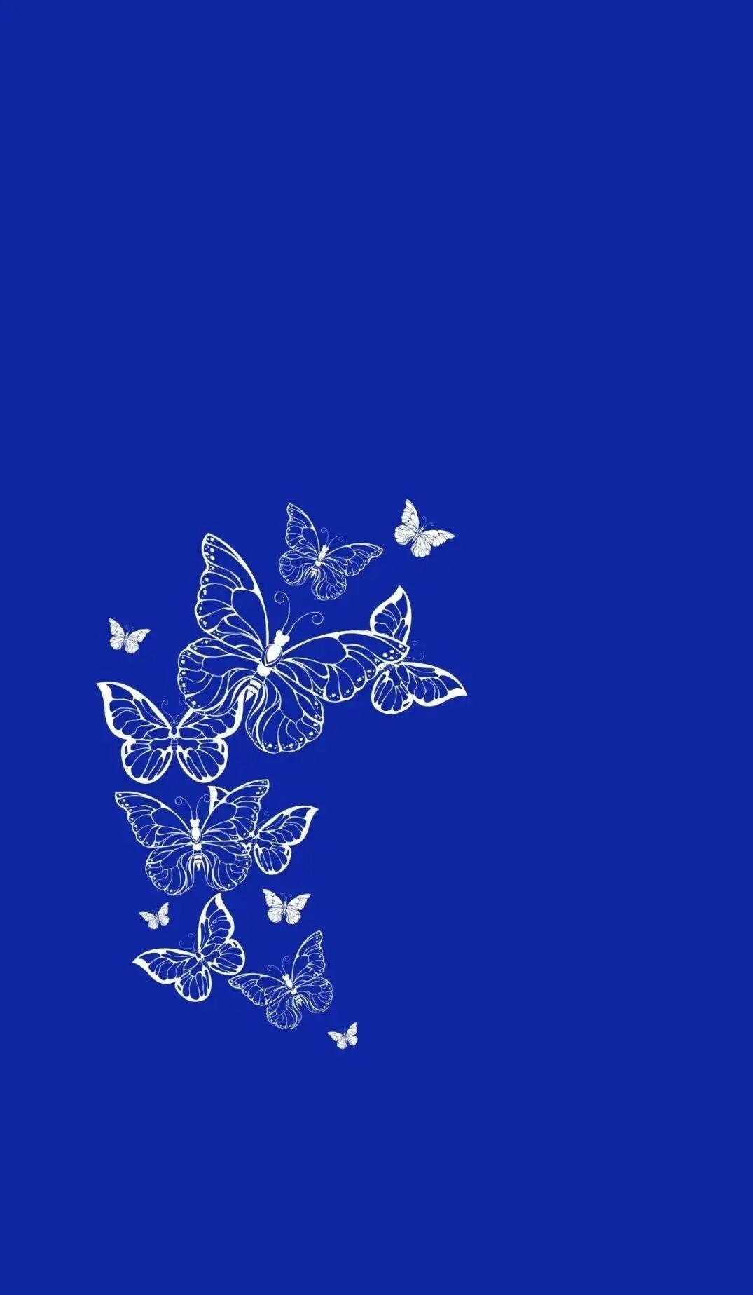 拳经一句｜“逢节必凸”，我翘了三年屁股才发现掖胯就够了

“逢节必凸。”——杨澄