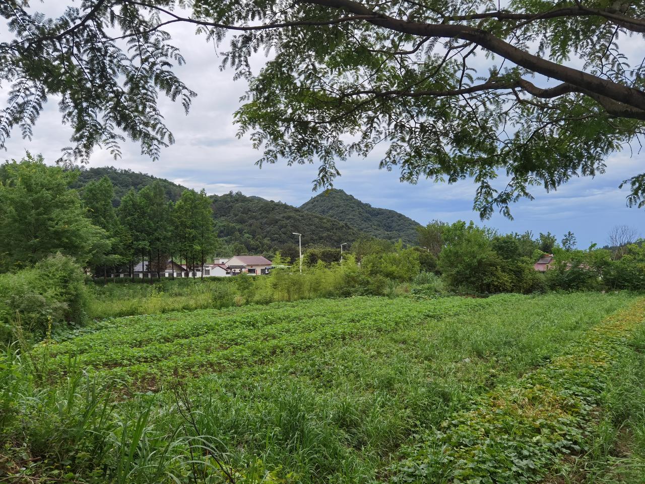 夏日的乡村！