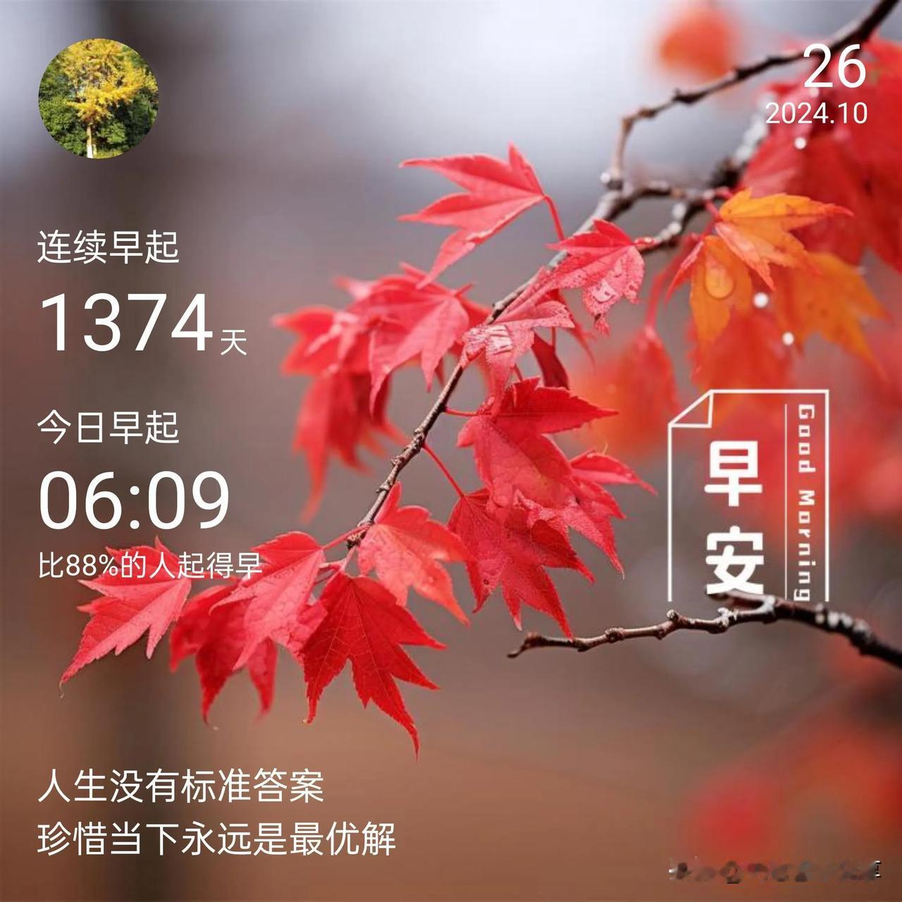 退休生活丰富多彩:今天取环了
早晨签到6点09分，1374天，人生没有标准答案，