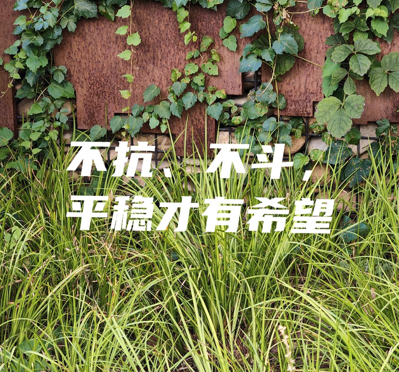 自己身体里的细胞。不要抗，不要斗，很平常。你和谐相处，到的时候它会去，你做的不对
