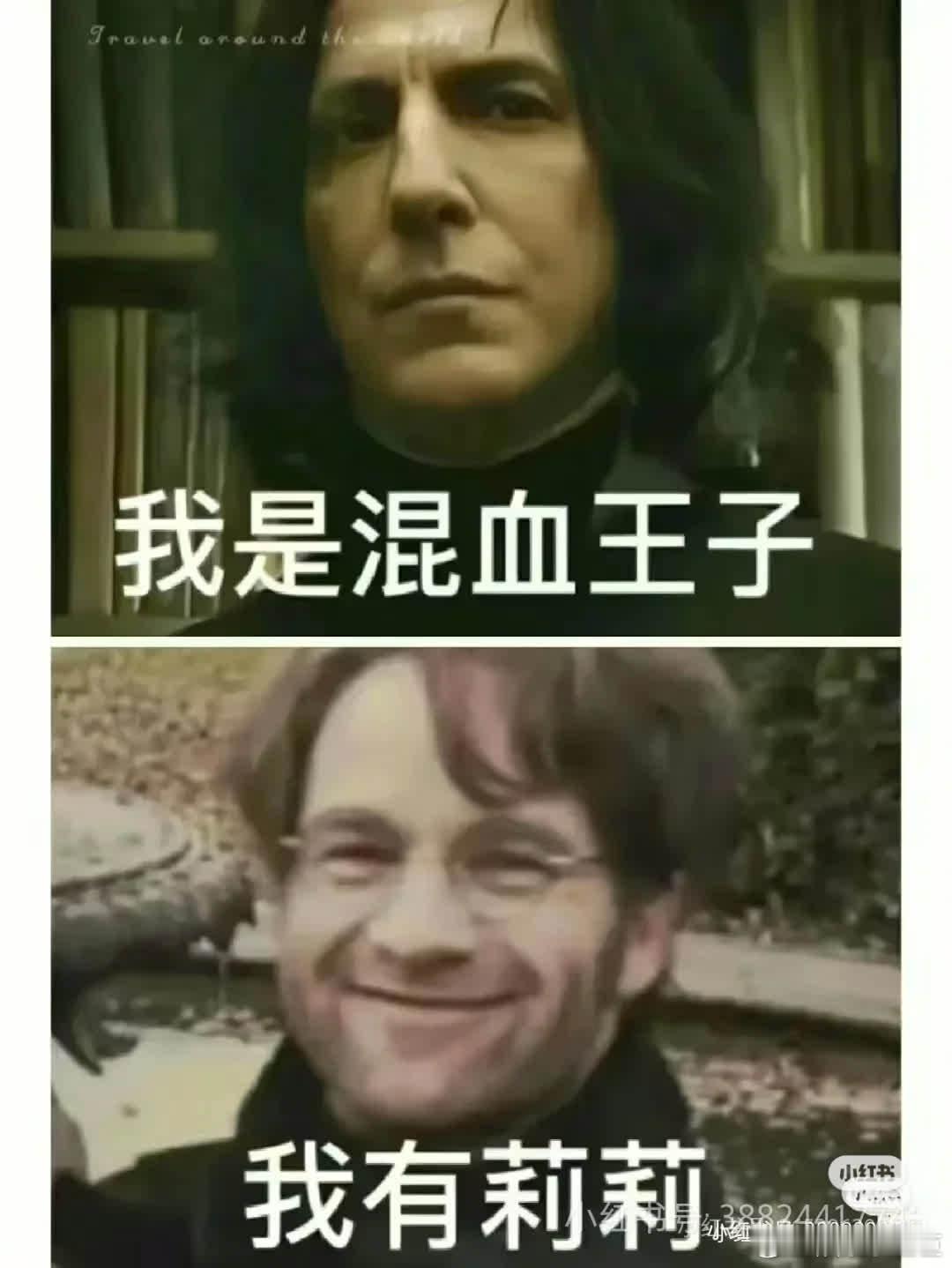 HP主打精神状态良好，其梗图亦彰显独特魅力。 