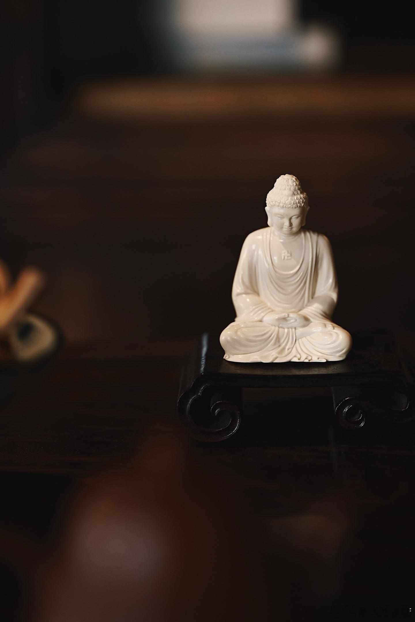 其实人想要改变命运 就只能从一件事入手 这件事情就是早睡——第3209天给您道·