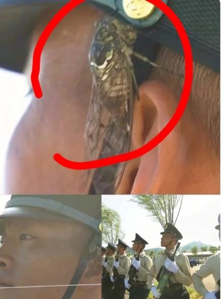 这两天刷朋友圈，那张火箭军方队的照片简直刷屏了，不光北京，全国网友都在底下追着夸
