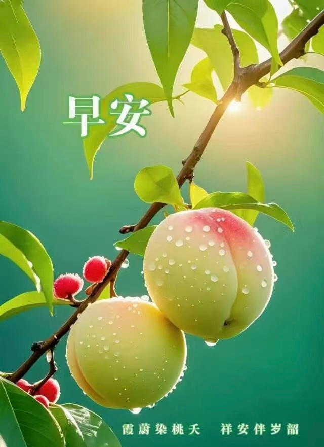 朝露凝香，岁月安然，愿清晨的美好，治愈所有平凡。早上好，我的宝子们，今天市场承受