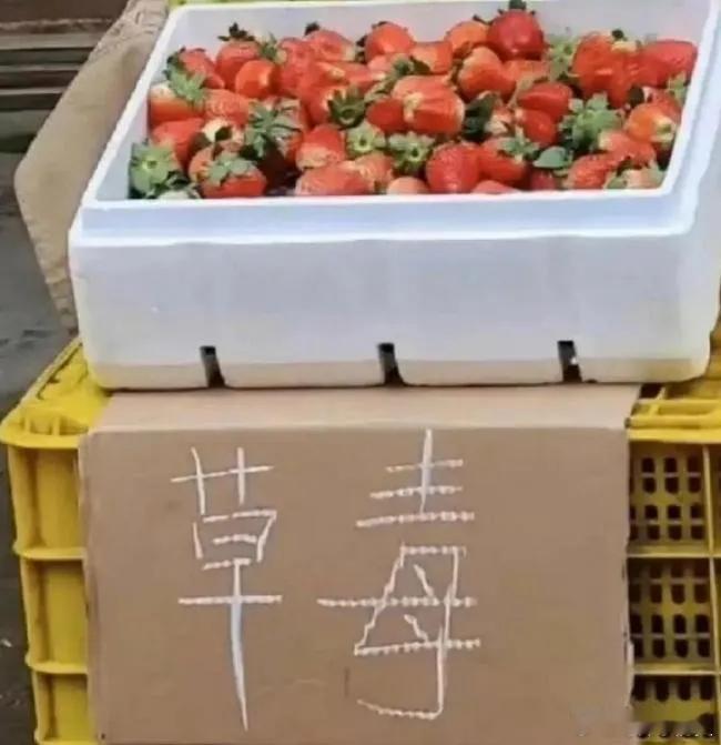 有趣的水果招牌