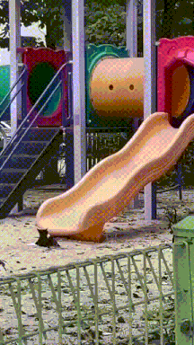 发现了滑梯的乐趣