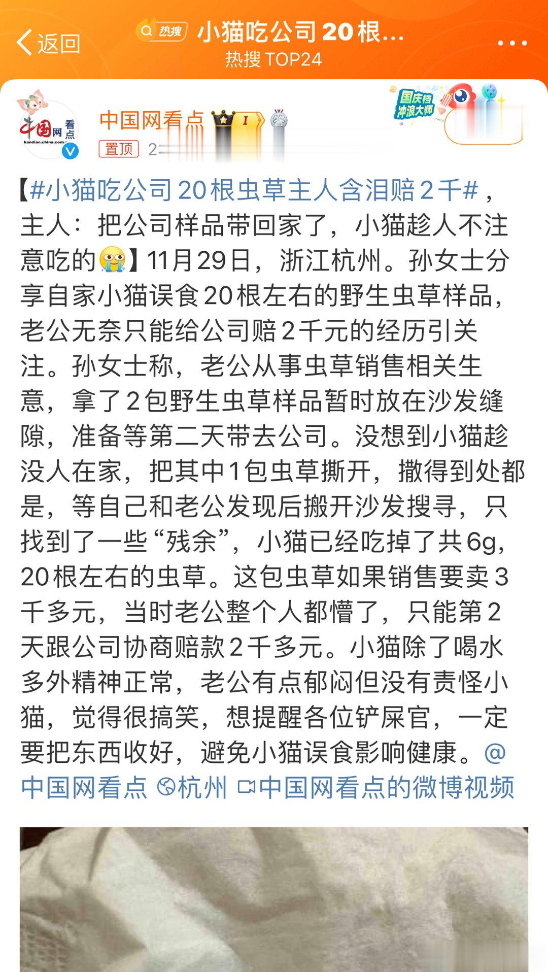 #小猫吃公司20根虫草主人含泪赔2千# 这小猫看来还挺不挑食的，毕竟这种干儿了的