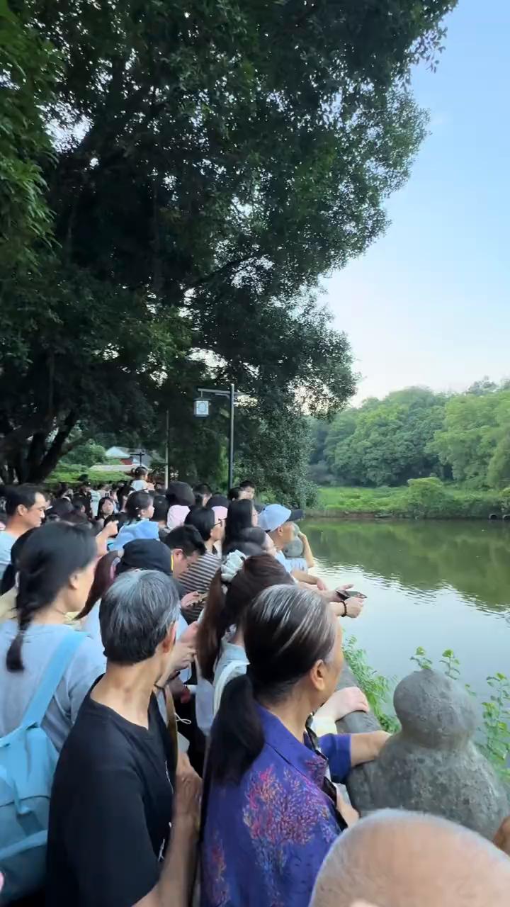 岫岩市水木秀。
好多人，这个桥上从来没有这么多人。六月十九号到二十一号，每天晚上