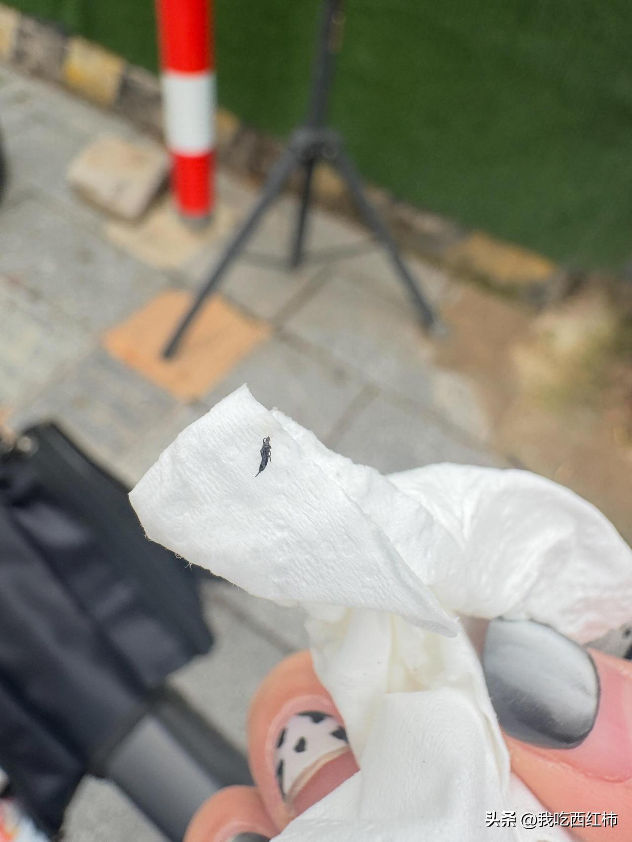 骑车上班丨护目镜太重要了
今天我真是福大命大。
上班路上突然一个黑点撞到我眼角，