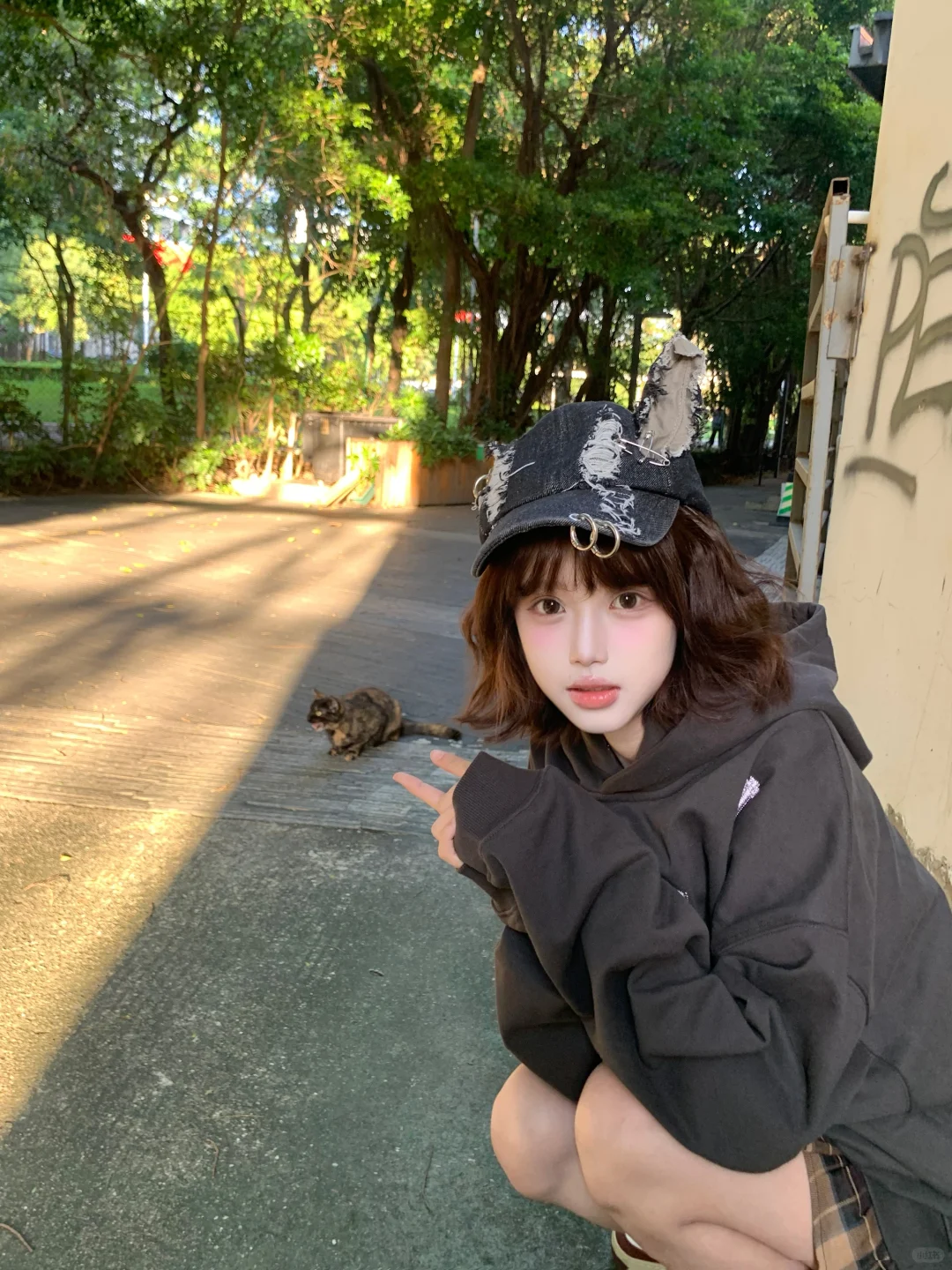 一坨小猫