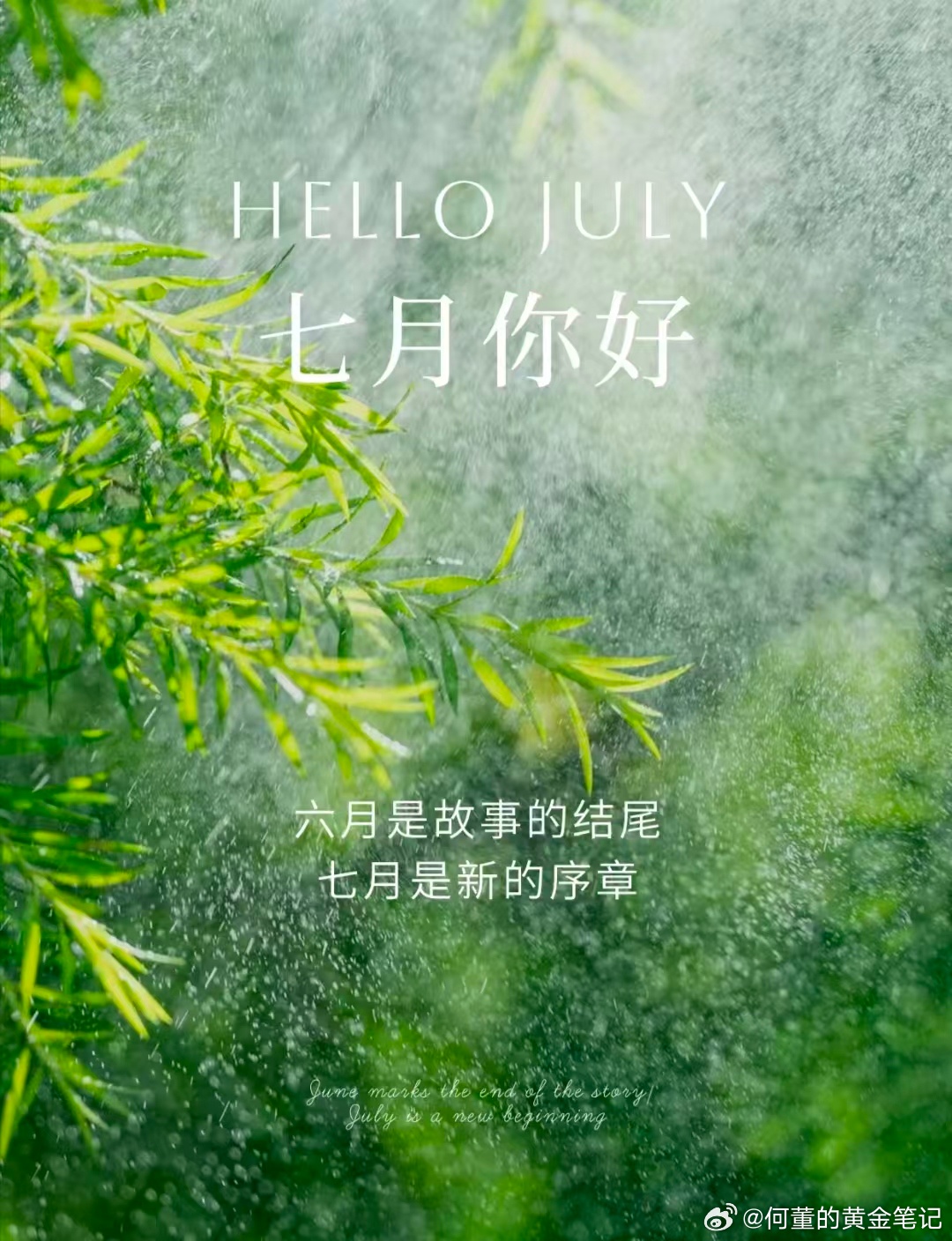 早上好!黄金 纵观外汇市场2026年上半年行情，美元指数DXY在年初跌至95.5