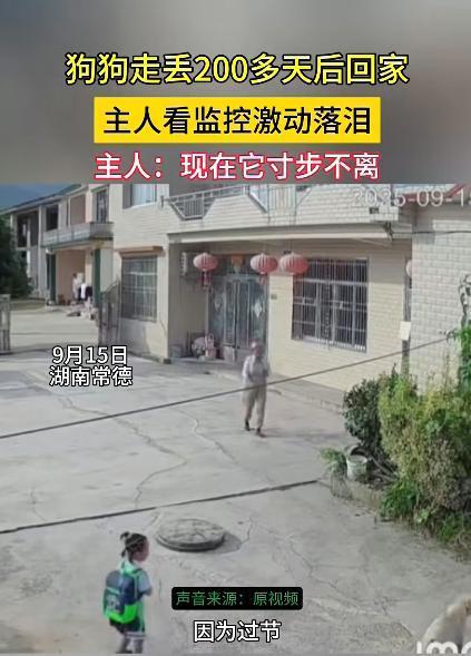 “这就是命啊！”9月15日，湖南常德，一女子接外孙女放学时，竟然在路上遇到了走丢