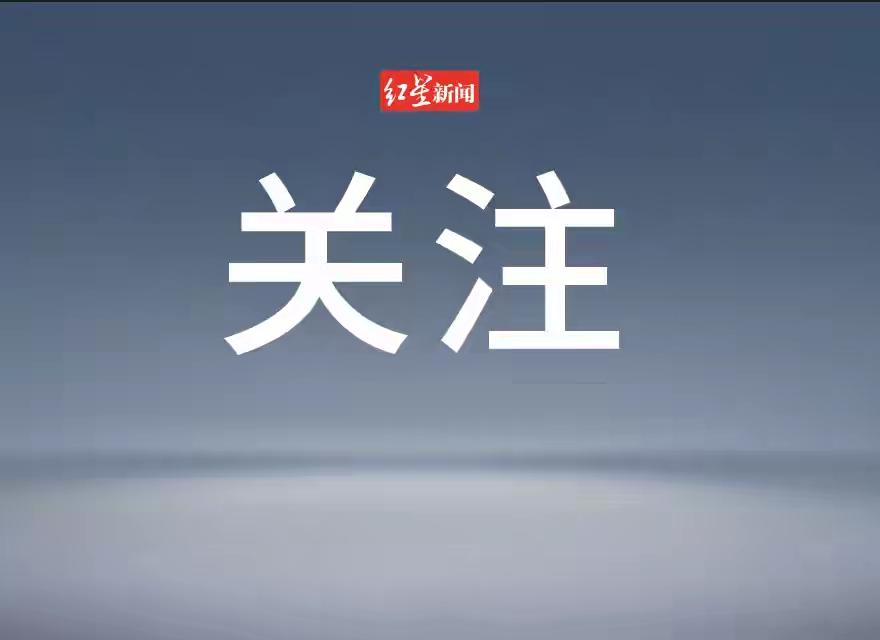 一年撞车9次，交警都懵了：“怎么老是你？”这哪是倒霉，简直是“提款”！

一年出