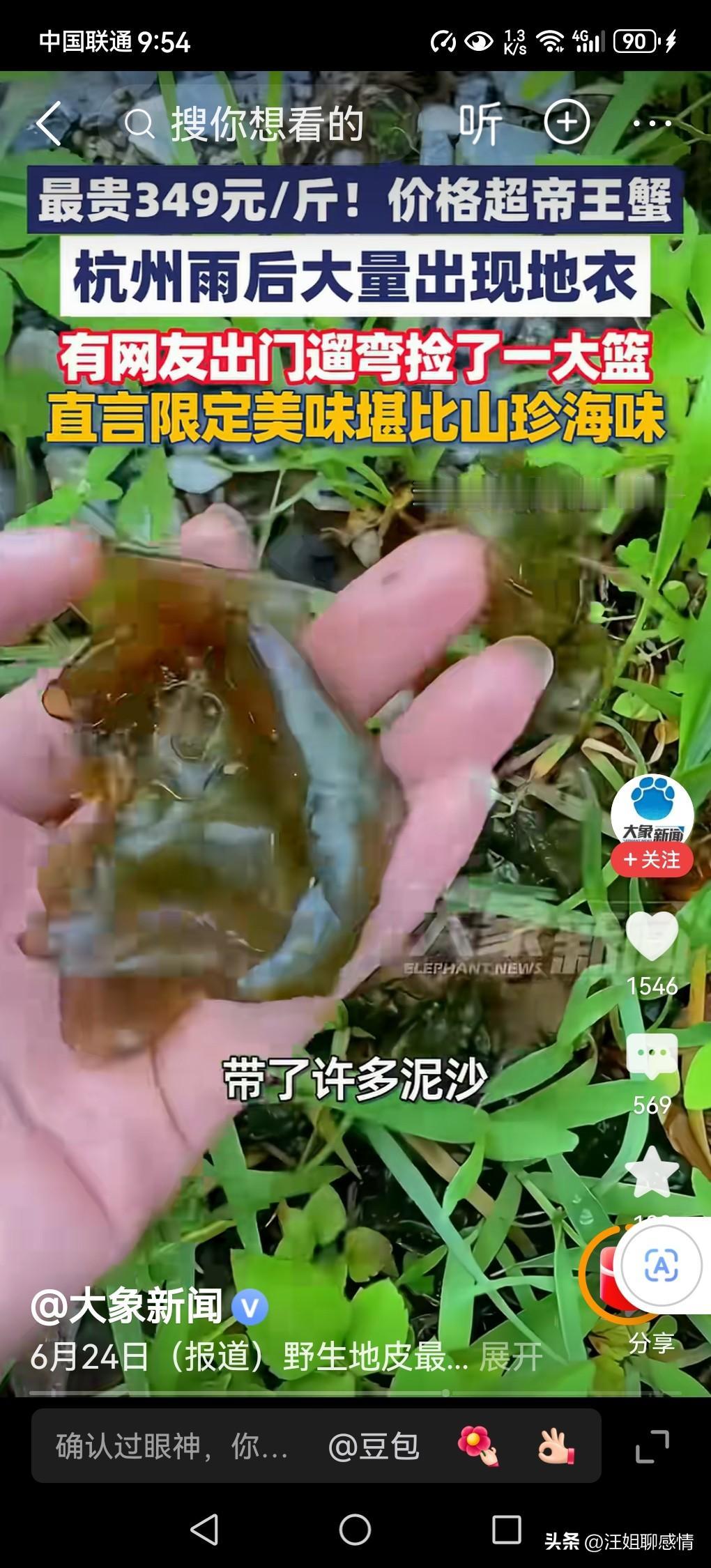 杭州雨后地衣，为何比帝王蟹还金贵？

梅雨季的杭州，一场酣雨过后，草坪石缝间悄然