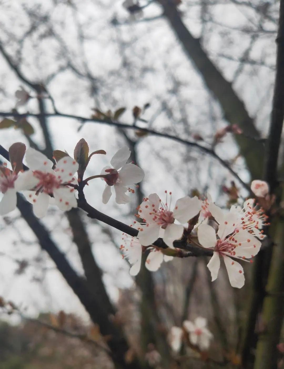 把生活过成喜欢的样子，简单一点，也精致一点。