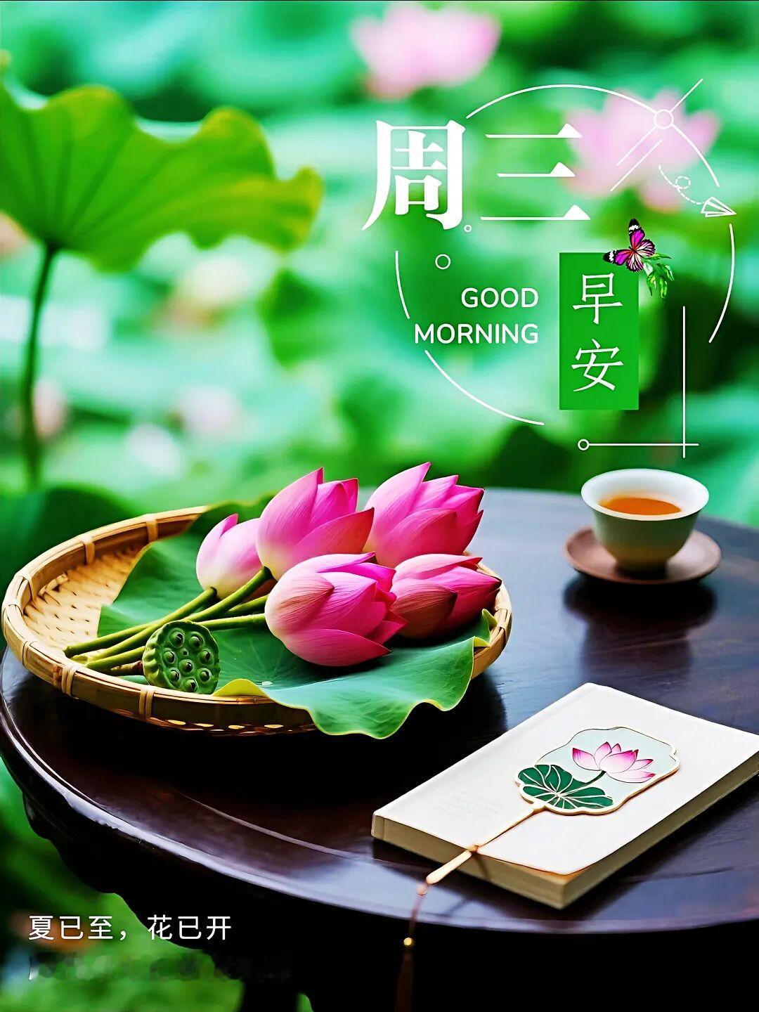 🌿²⁰²⁶/₀₆.₁₇周三ᵕ̈ ⏳把多余的期待留给自己，把多余的交际水分拧干。