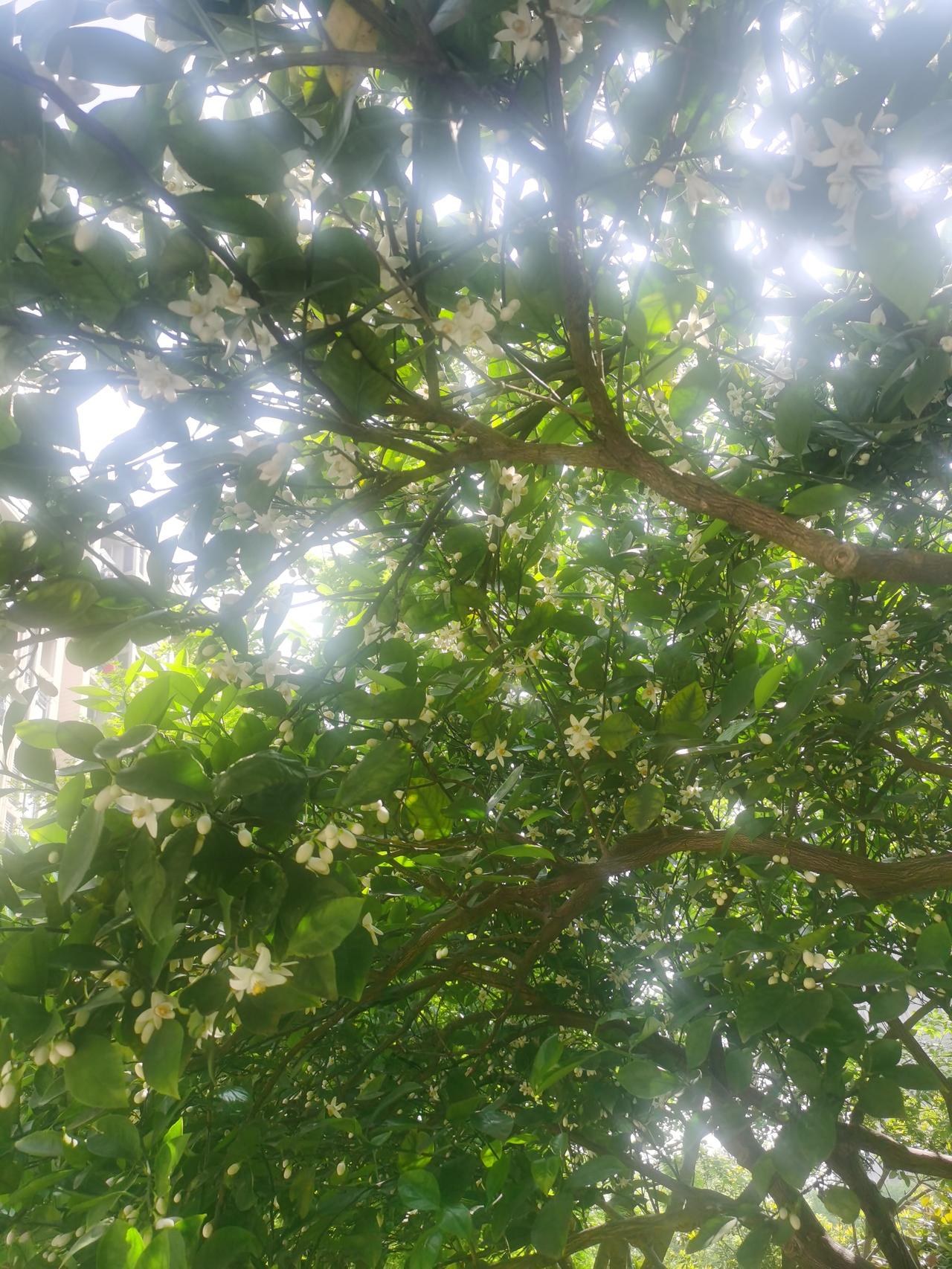 你是何时明白这个真相的？？
唯一能够陪你到老的人，只有你自己。
唯一一个靠谱的东