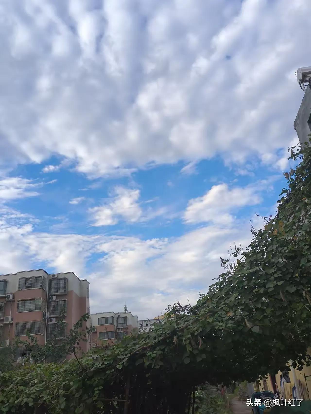 普通人家的孩子最好去当兵。我一个同事的孩子当了12年的兵，今年9月份转业回来了。