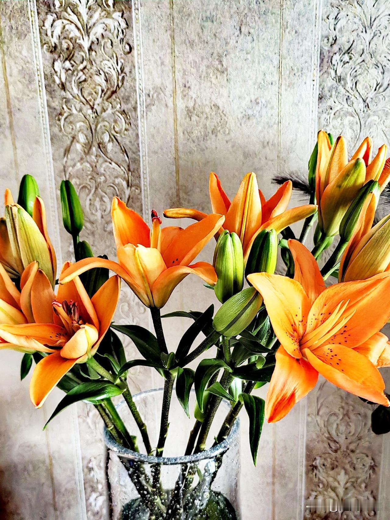 每天开心来头条，

参加晒图比比赛。

鲜花飘香美景好，

隔屏嗅香好欢喜。