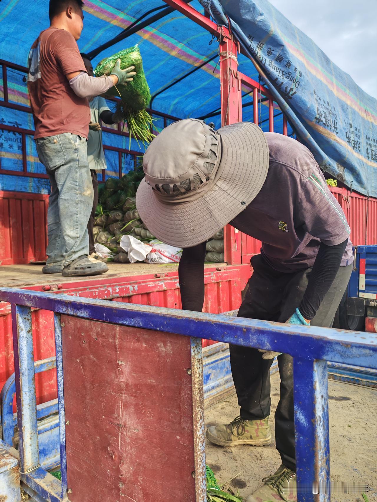 晚上我在村健身广场散步
听到大伙议论纷纷
村上的葛老大只个女儿
从小到大从来不要