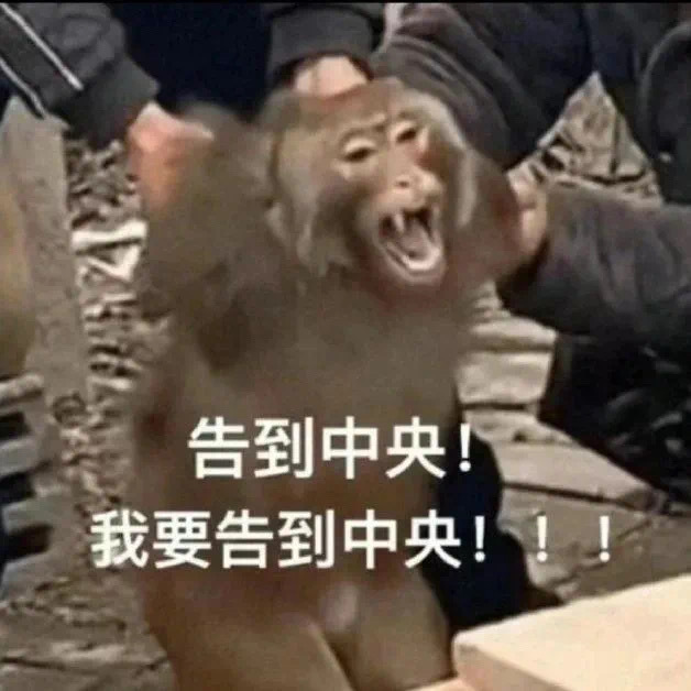 吗喽告状表情包合集🐵 ​​​