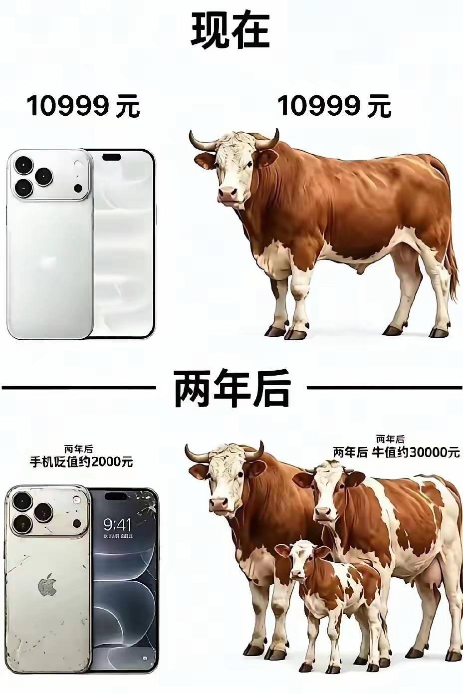 那些拿一头牛跟拿苹果18比的人
格局真的小了。
不是小的一点两点。
我觉得苹果1