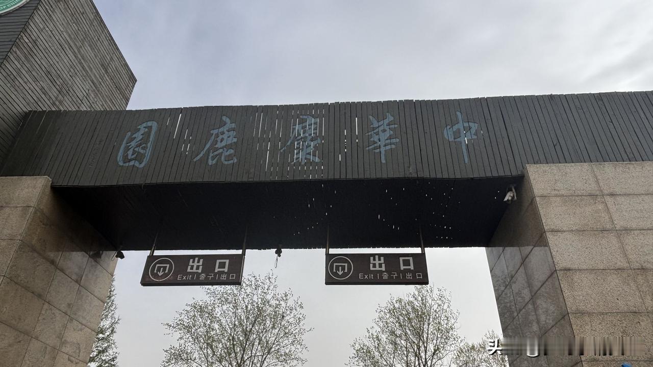 “五一”“连云港”的前因
说起这次“连云港”游，就回想到“大丰”游。
因为有一朋
