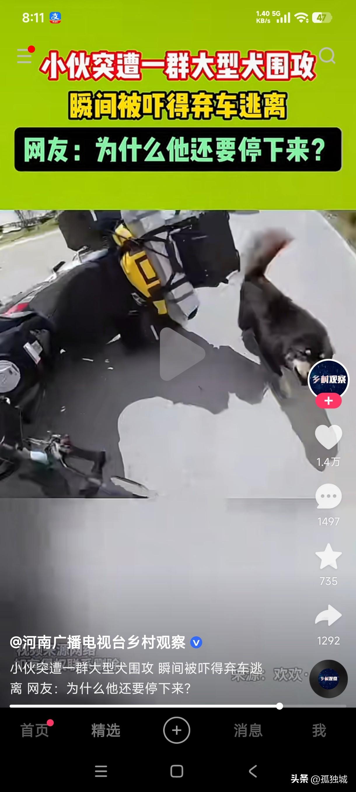 小伙独自骑摩托车旅行，半道突然遇到一群恶狗围攻，瞬间被吓的弃车逃跑，这停下来自己