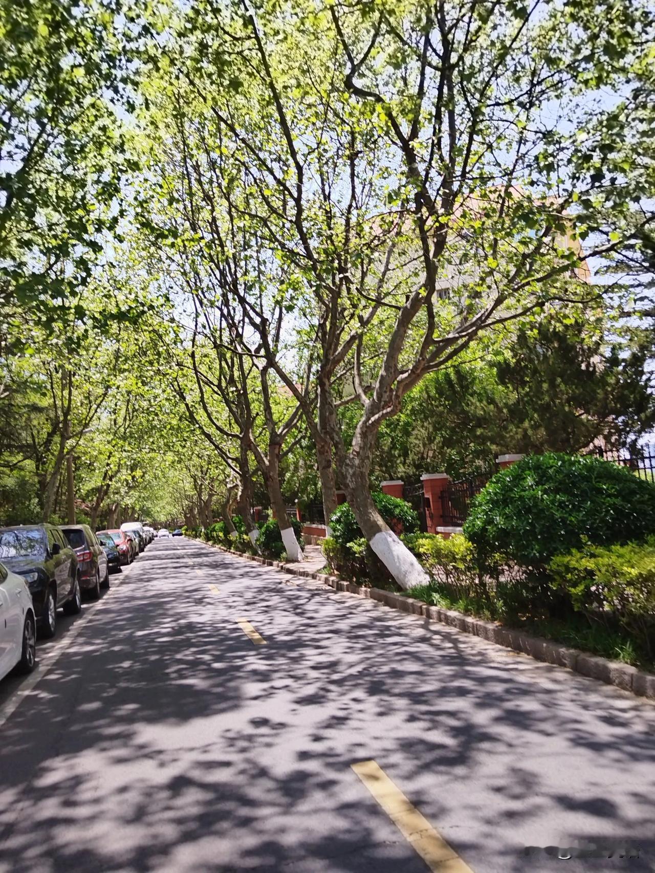 鸡娃的路上[捂脸]

优秀生的家长：

1.私立名校+知名机构+一对一名师
2.