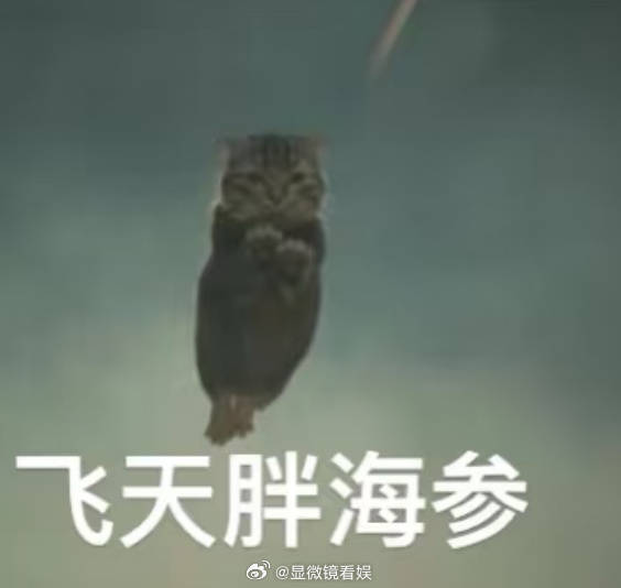 武祯美图田曦薇晒小伙伴发的武祯 谁还没看到田曦薇发的微信聊天录屏！满屏武祯猫猫头