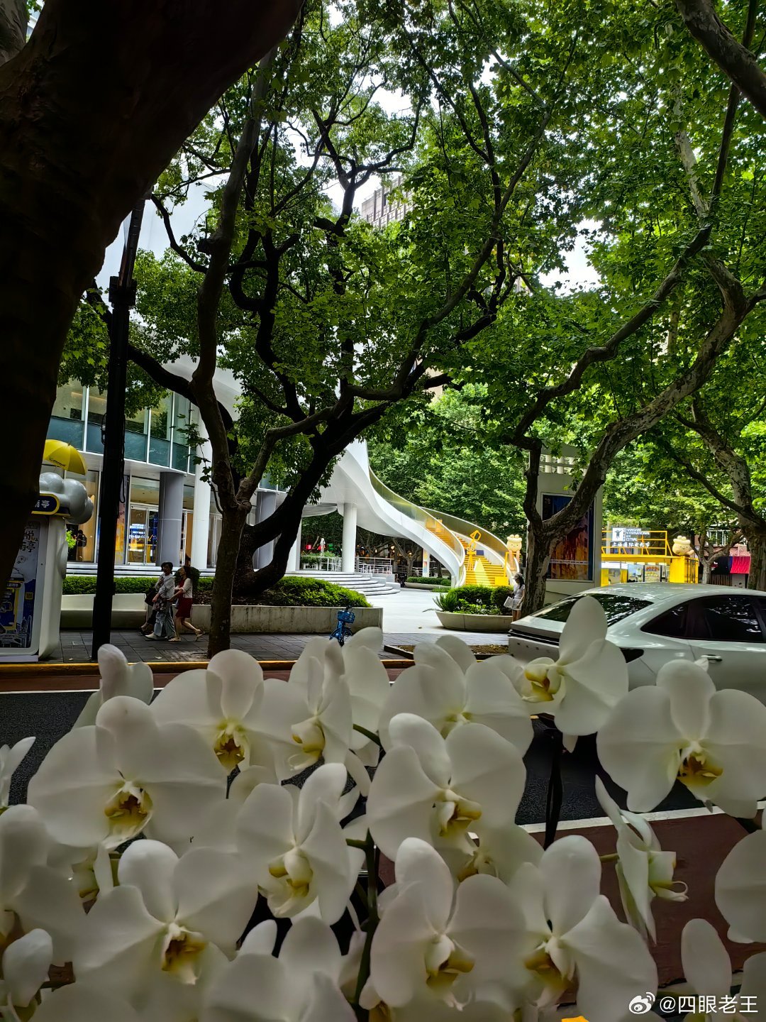 今日，随着加场放映的最后一天结束，第28届上海国际电影节在满城光影中正式落下帷幕
