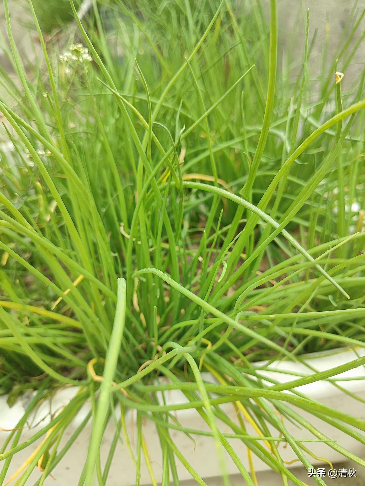 做个饭，被人指指点点，感觉我是不是傻到每一步都需要人指点安排？

跟有强迫症的人