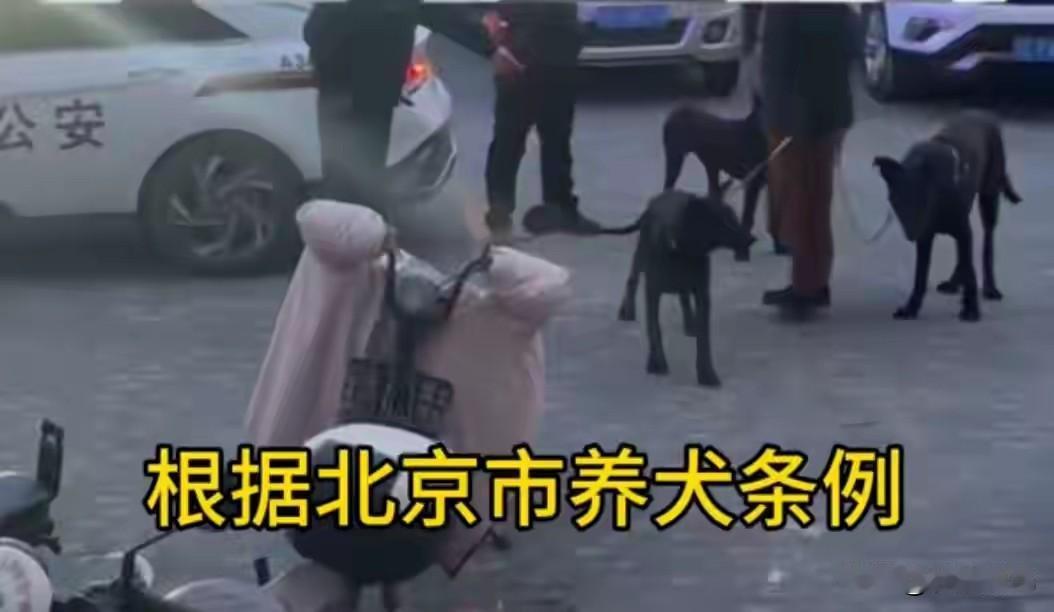 7月29日，《北京市养犬管理规定》升级为条例，这有着风向标的作用。
看似对养宠物