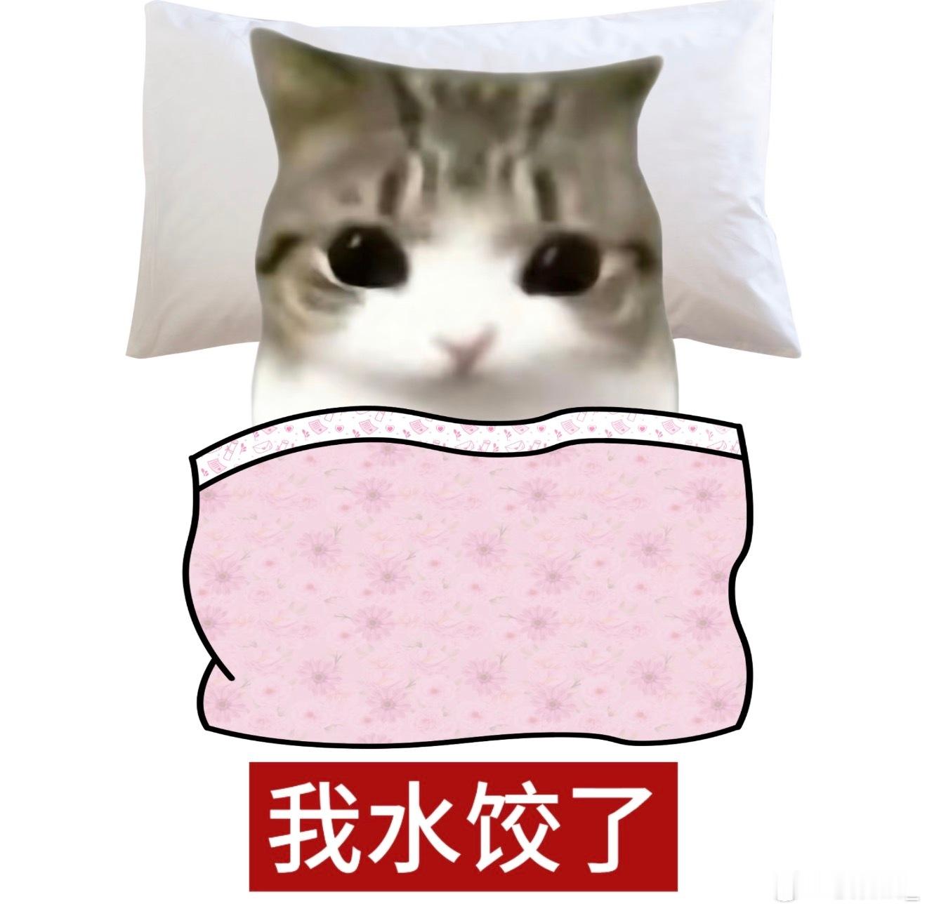 说晚安 