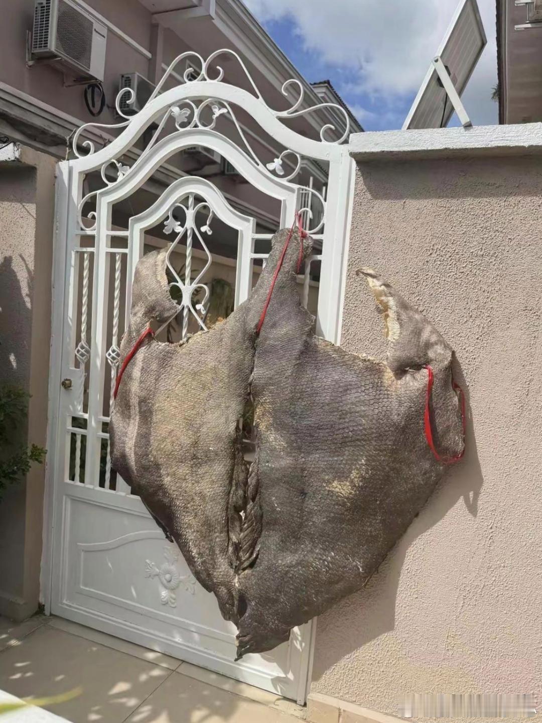 大叔这富炫得……我居然无法反驳！ 