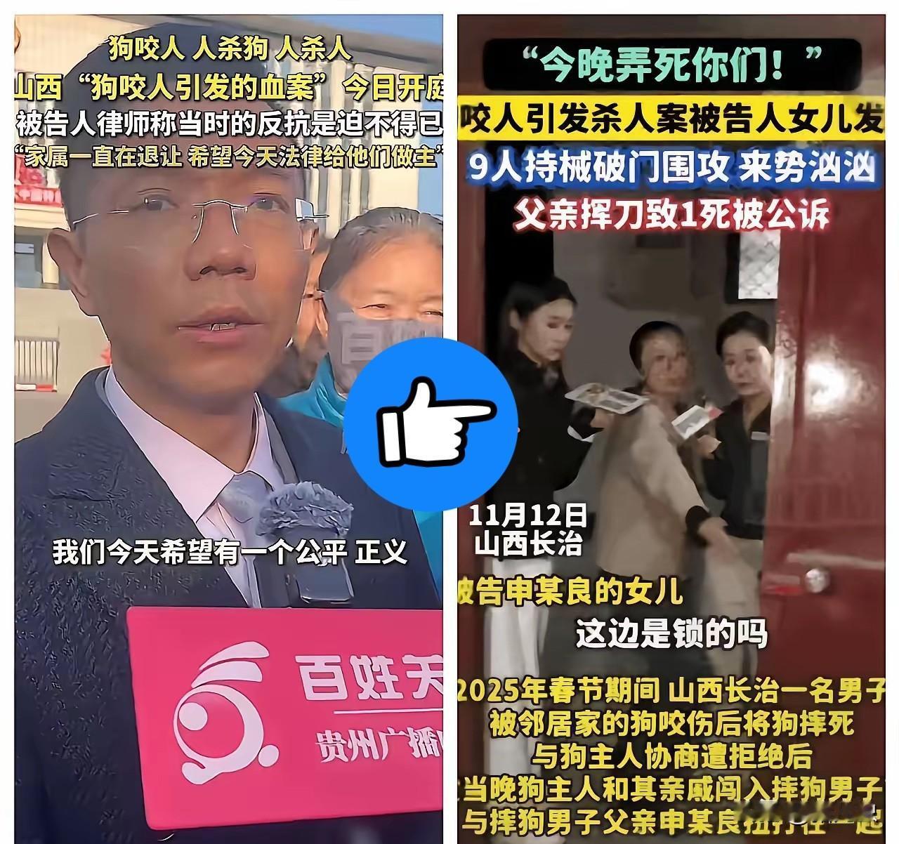 狗咬人血案律师的无罪辩护
简直说出了所有人的心声
60岁老人面对9人踹门砸窗，反