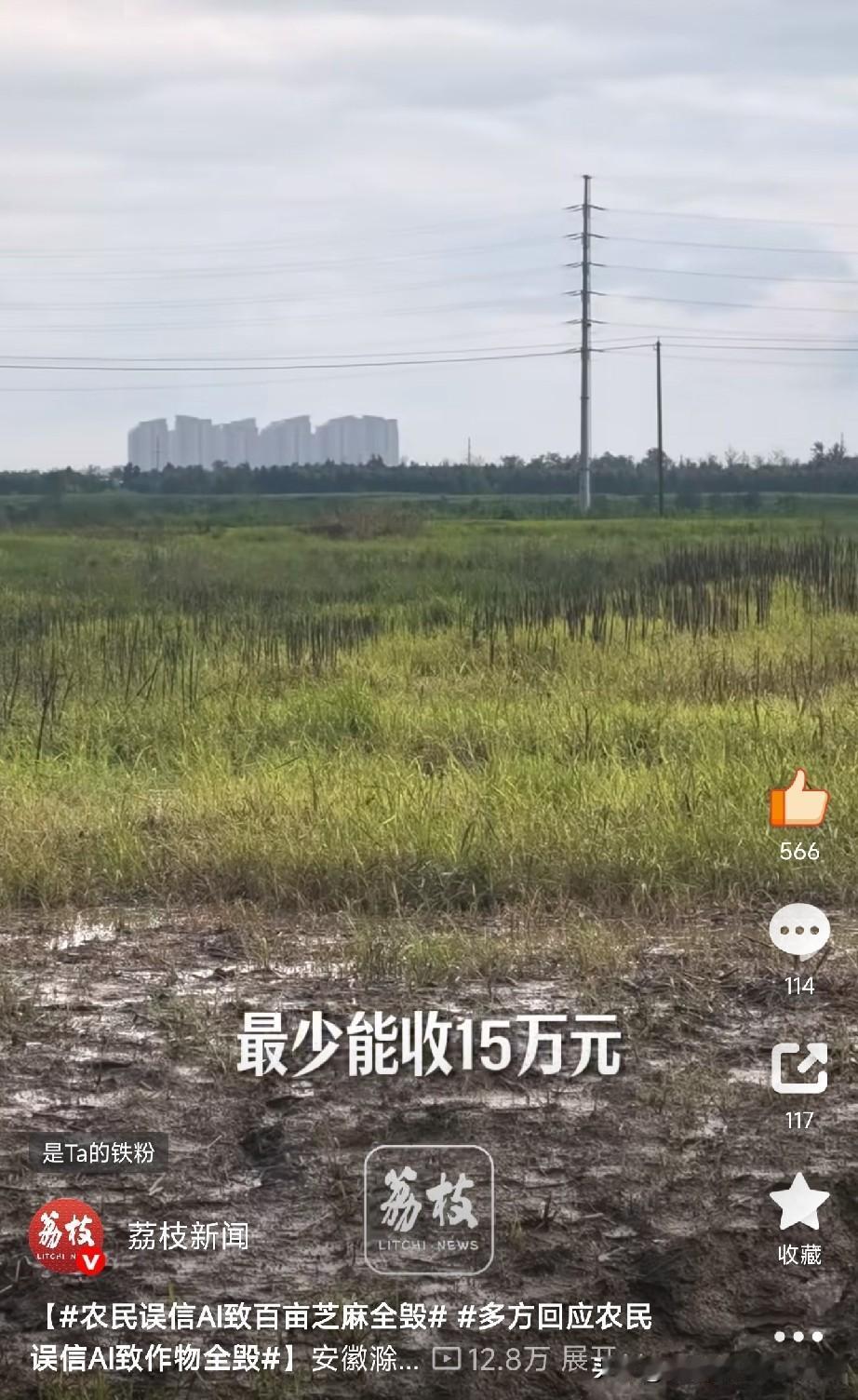 AI再好，它只是个工具，需要多方查证，不能盲目轻信。

安徽滁州的吴大伯，种地种