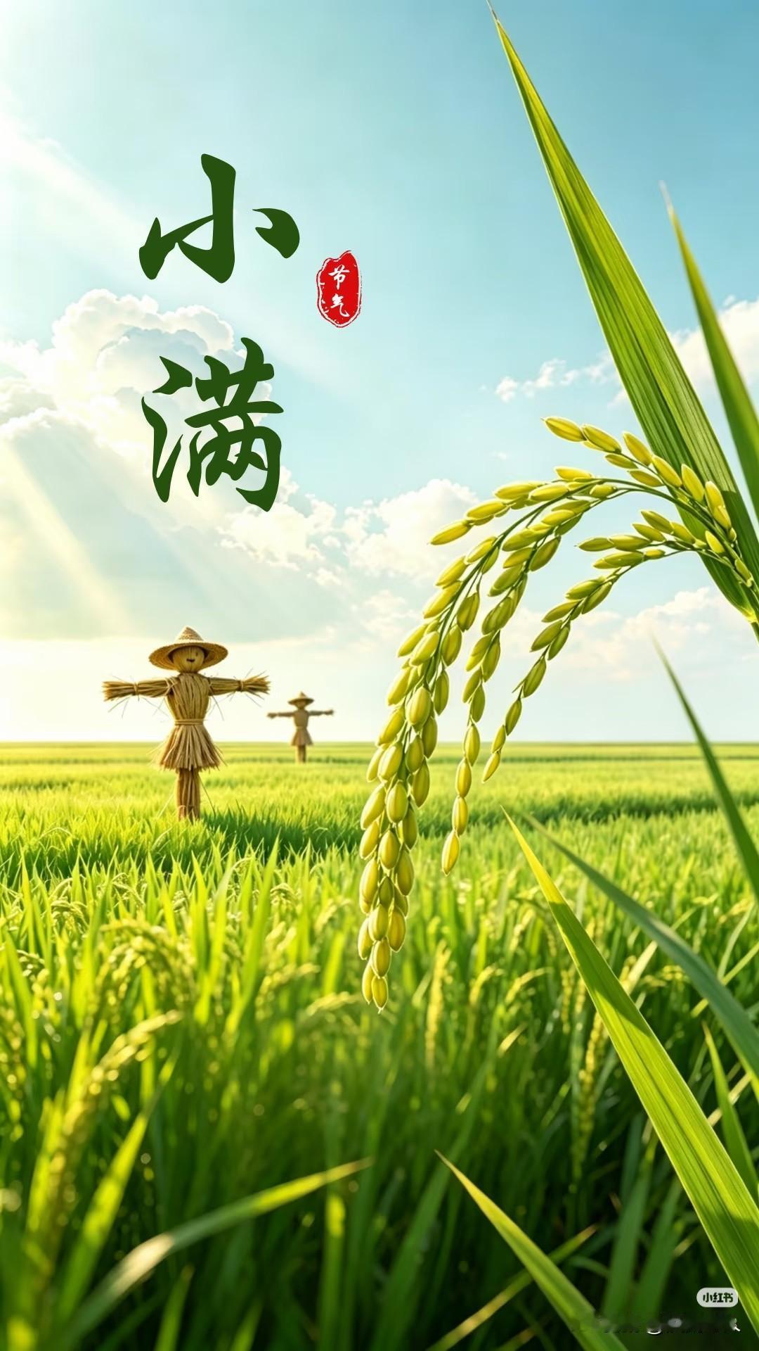 夏意初盛，万物渐满。